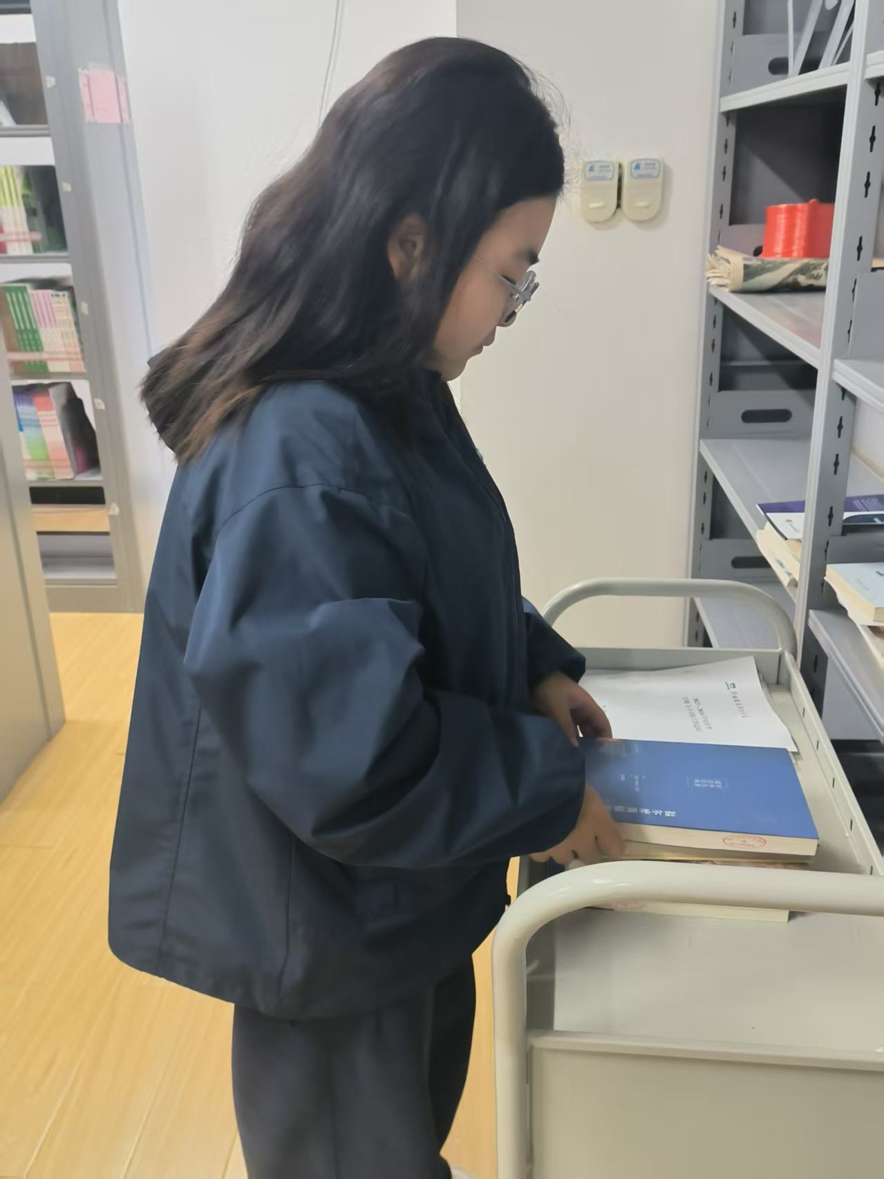 24bfdfa2b504558f8c798b0be1f0915