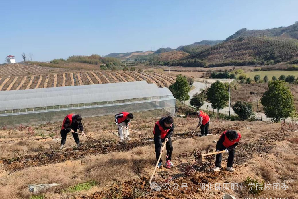 微信图片_2025-11-05_214958_980