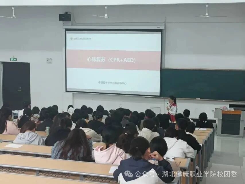 微信图片_2025-11-05_213233_234