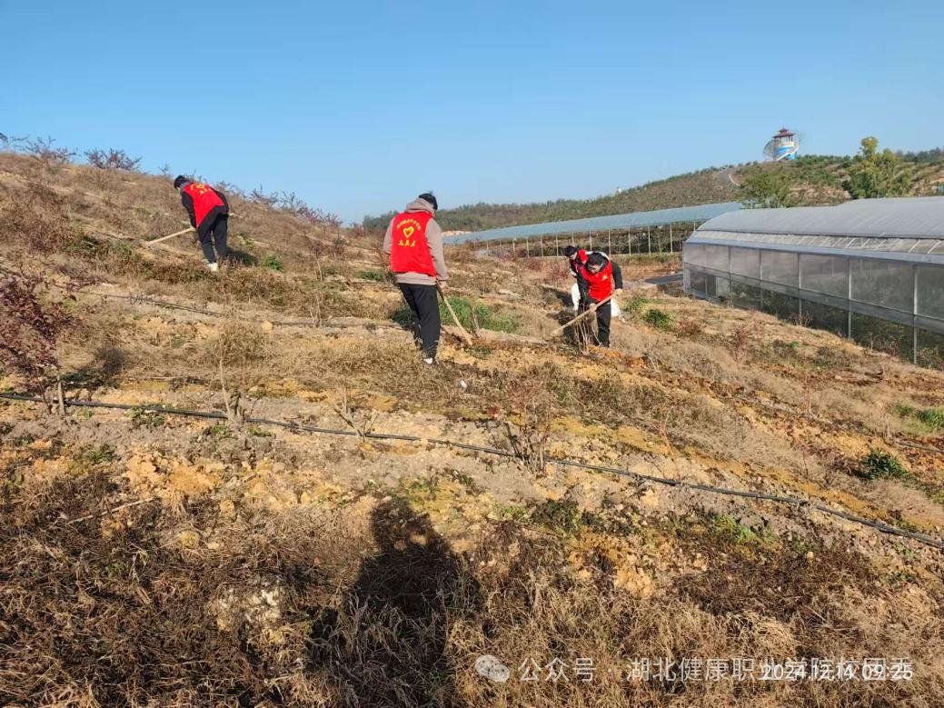 微信图片_2025-11-05_214951_864