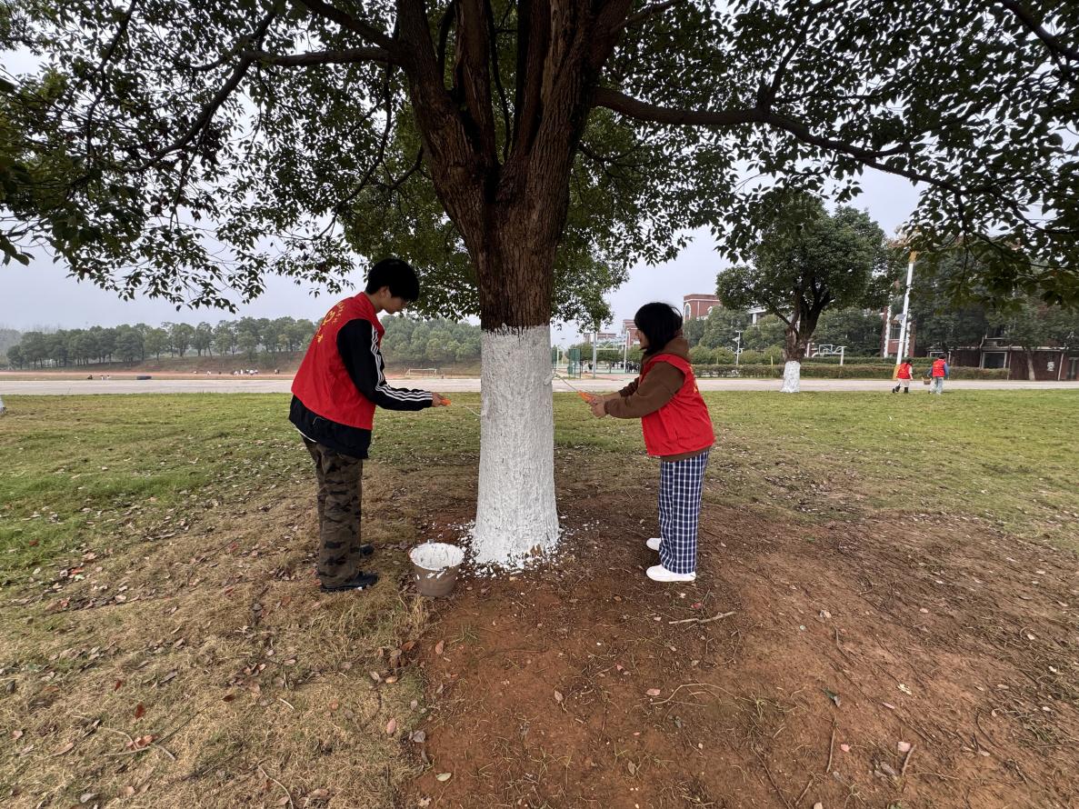 0332330022c8ece27a6507068b2e4df